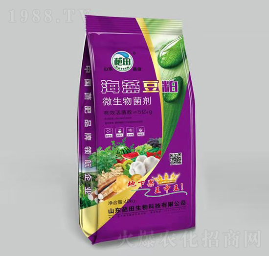 ��ɫ���b���嶹��΢�������-��������