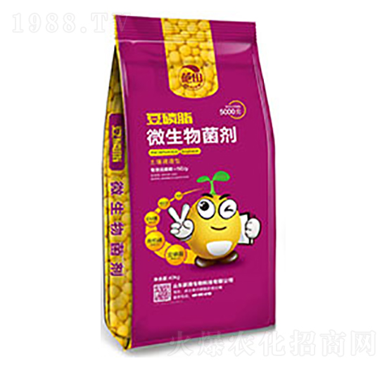 ����֬΢�������-��������