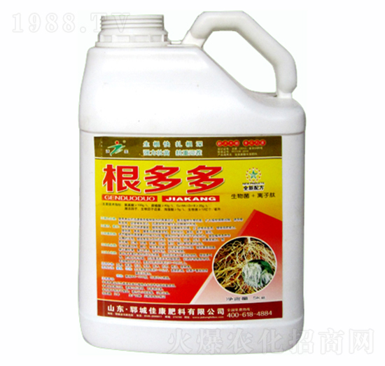 �����-�ѿ�