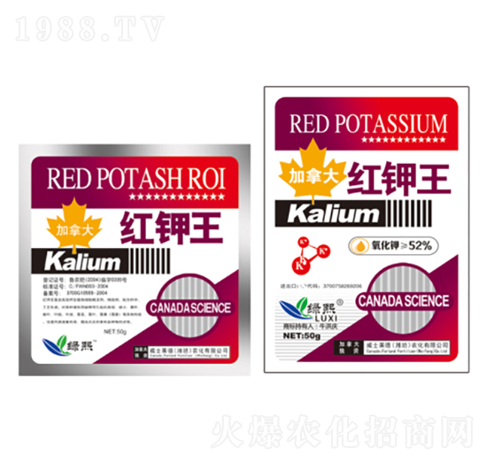 �t���-�G��-��ʿ�R��