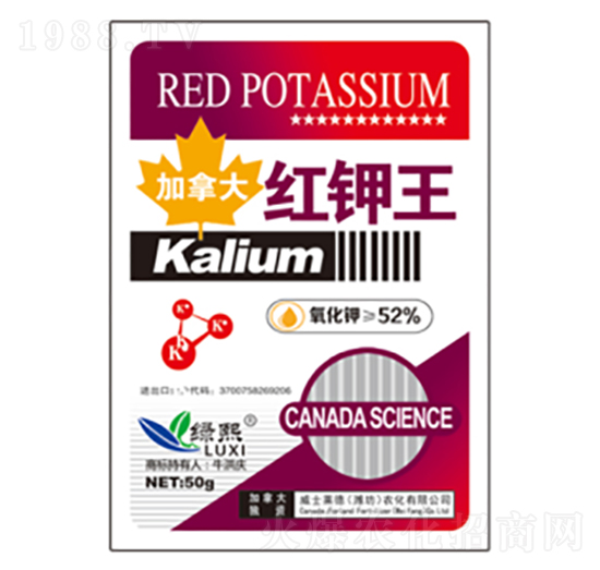 50g�t���-�G��-��ʿ�R��