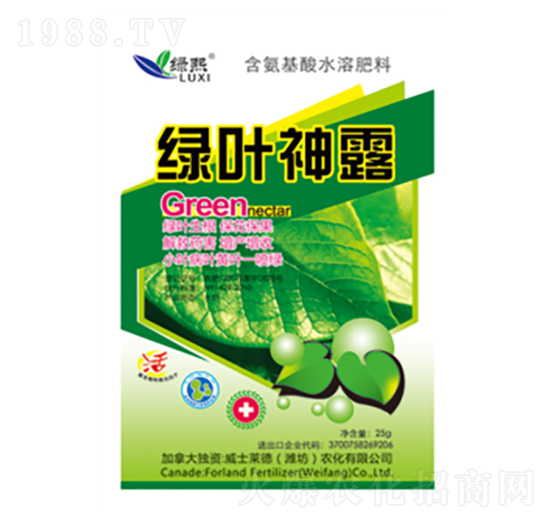 �G�~��¶-�G��-��ʿ�R��