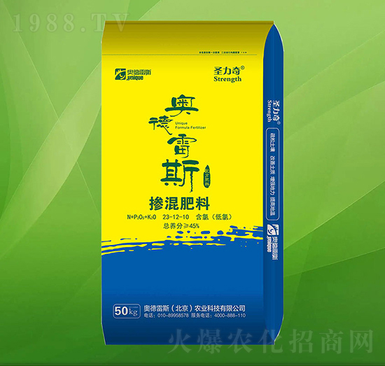 �������23-12-10-ʥ����-�W����˹