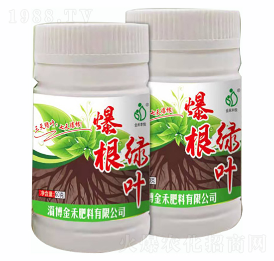 �����G�~-�Ͳ����