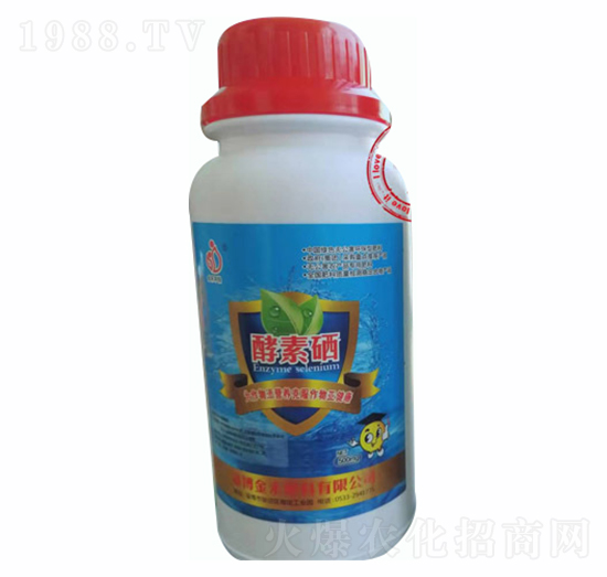 ������-�Ͳ����