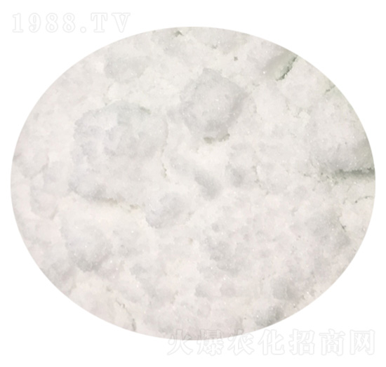 ̼����@-��(sh��)�����B(t��i)