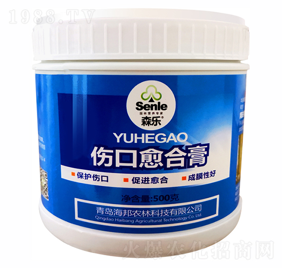 �������ϸ�-ɭ��-�����r��