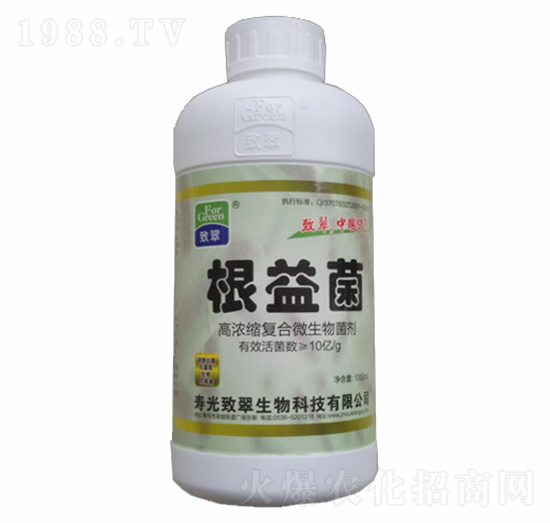 高濃縮復合微生物菌劑-根益菌-致翠生物