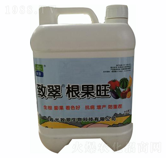 ������-�´�����