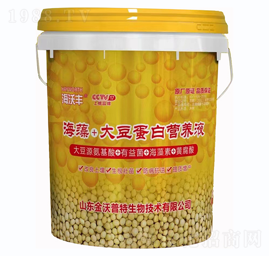 ����+�󶹵��נI�B(y��ng)Һ-�����S-��������