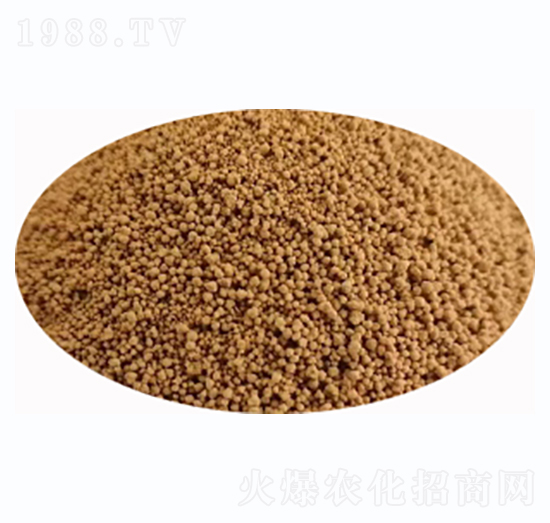 �۹Ȱ���΢�w��-�Љ��r��