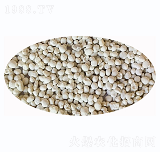 ��(f��)�Ϸ����w��-�Љ��r(n��ng)��