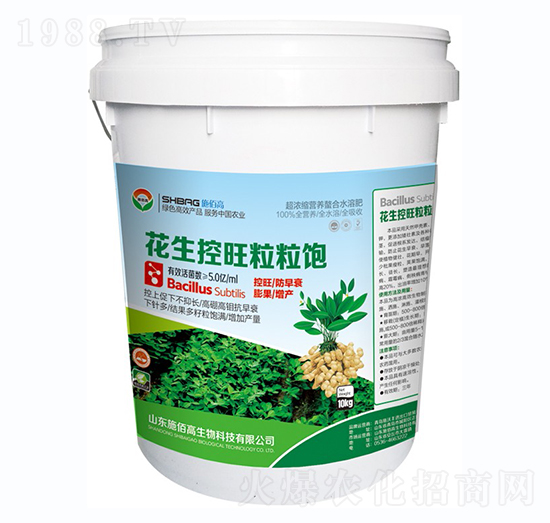 �������������-ʩ�۸�