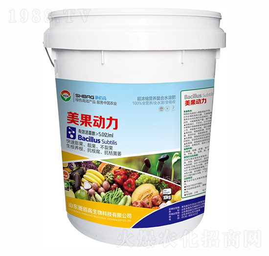 ��������-ʩ�۸�