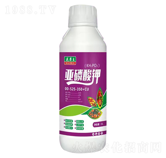 �������-�P�T��Դ