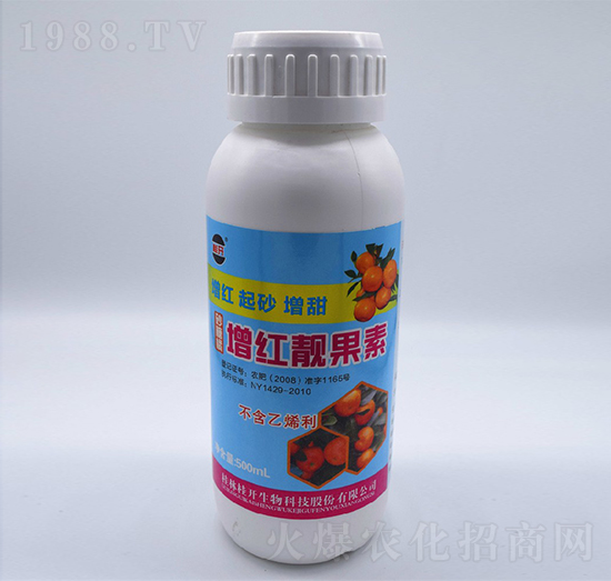 500ml���t�n����-���_����