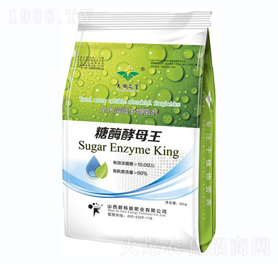 ��ø��ĸ��-�º���