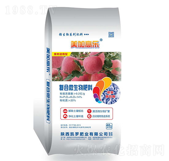 ��(f��)��΢�������-���Ӹߘ�-�P�_�ʘI(y��)