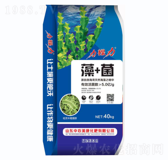 ��+��-������-���r����