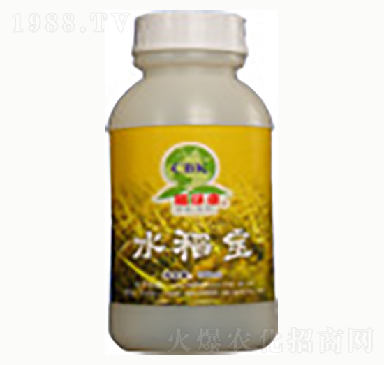 ˮ����-�n����