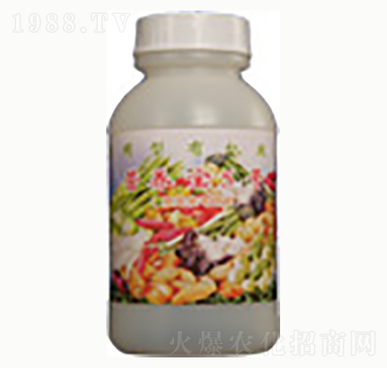 �I(y��ng)�B(y��ng)��5̖(h��o)-�n����