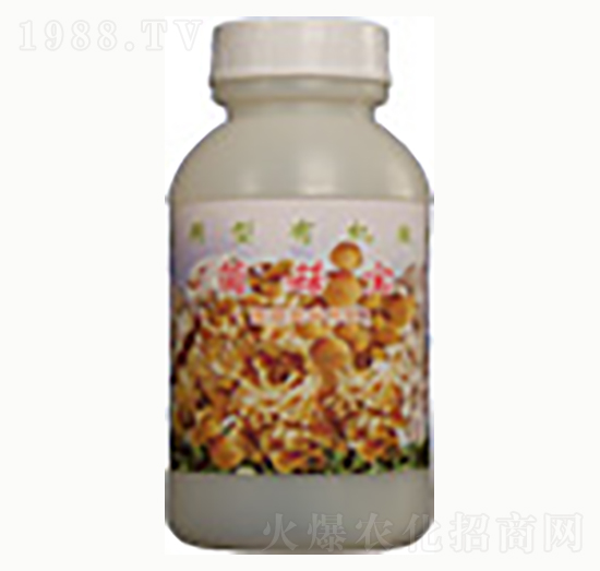 ������-�n����