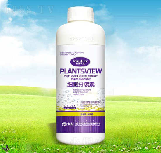 ����������-������