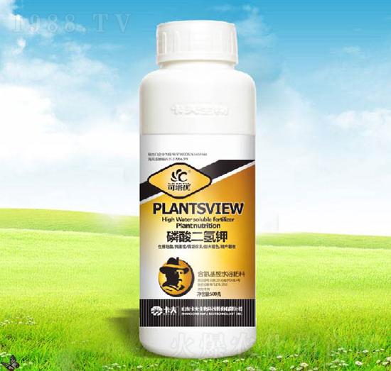 ��������-������