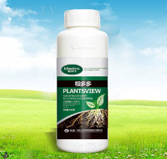 �����-������