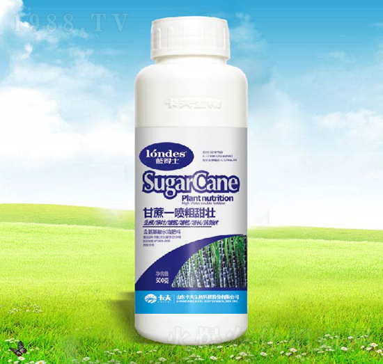 �{(l��n)��ʿ����һ��������-������