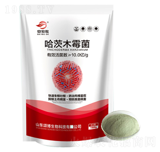 ���������ľù��-ힲ�����