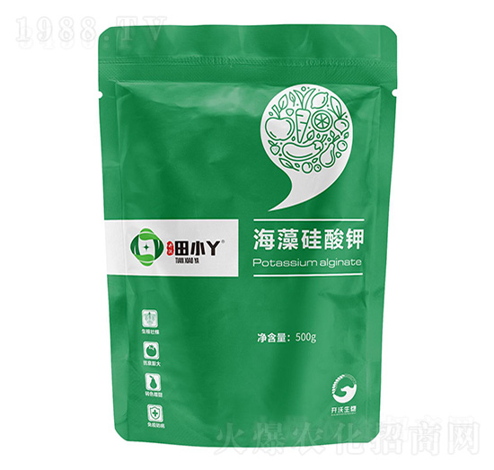 ��������-��СѾ-�_������