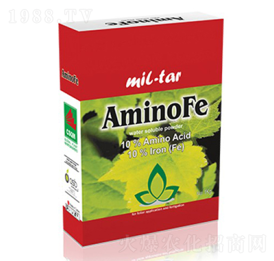 Amino Fe-�ָ���