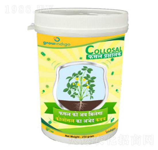 Collosal-�ָ���