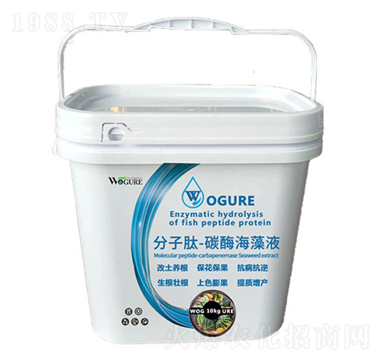 ������-̼ø����Һ-�ָ���