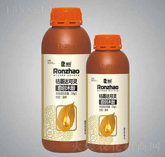 ����(chu��ng)ľ��-�����r(n��ng)�I(y��)