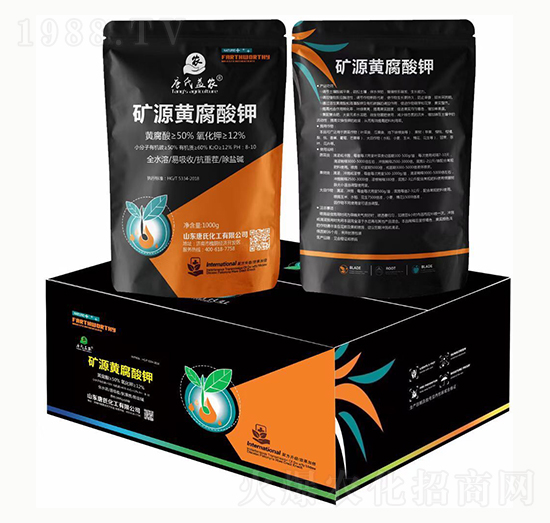 1000g�VԴ�S�����-���ϻ���