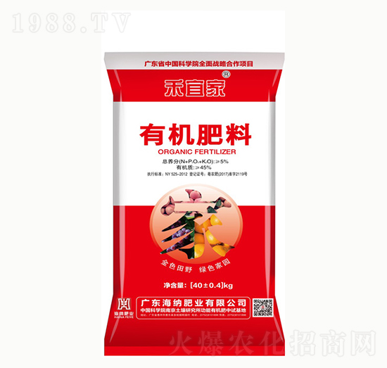 ���˼��ЙC(j��)����-���{�ʘI(y��)