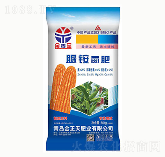 ���@����-������ʘI(y��)