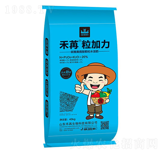 ���ۡ�������-��������