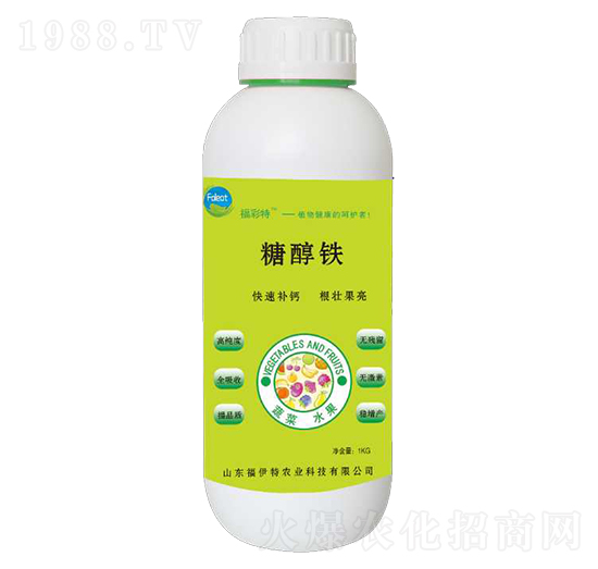 �Ǵ��F-������-������