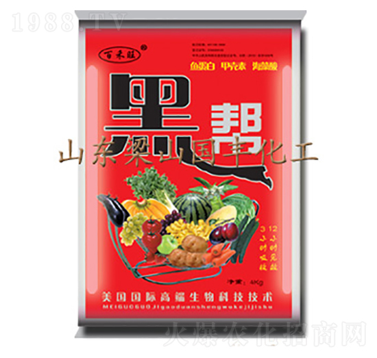 �ڎ�-���S�ʘI(y��)