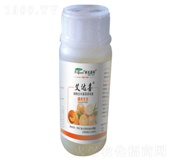 �����-���_(d��)ϲ-��Ԫ