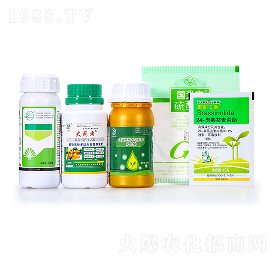 �������ײͽM��-���w��-�r���Z