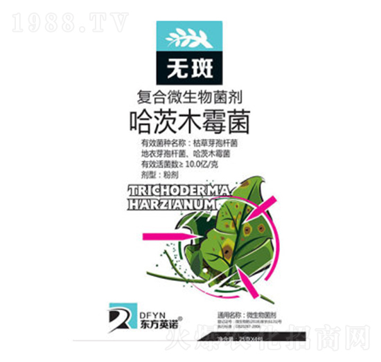 ����ľù��-�o(w��)-�|��Ӣ�Z