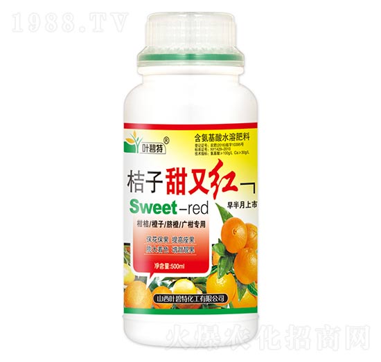 �������ּt-�~����