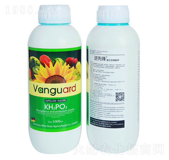 ���ρ������-��ɪ��