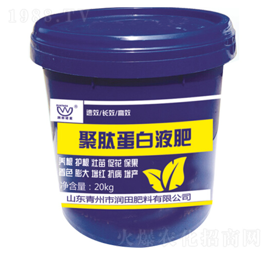 ���ĵ���Һ��-�������