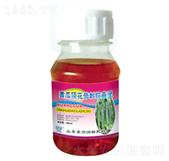黃瓜頂花帶刺拉直靈-潤(rùn)田肥料