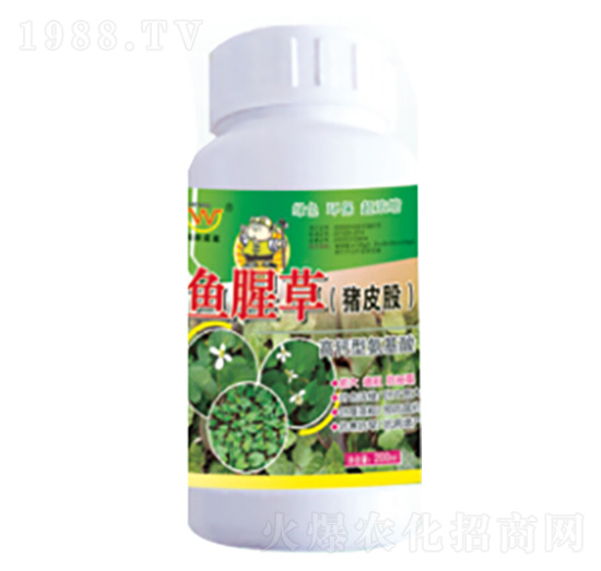 魚腥草（豬皮股）專用氨基酸葉面肥-潤(rùn)田肥料